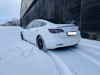 Tesla Model 3 Performance fahren